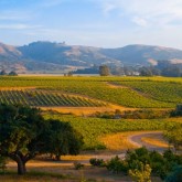 Napa/Sonoma Wine Country