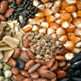 Seed Sovereignty - It All Starts with Seeds